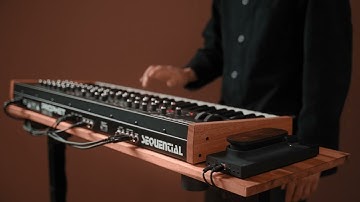 Touché x Prophet Rev2 (2/3)