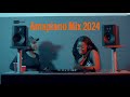 Tee Dee Amapiano Mix 2024
