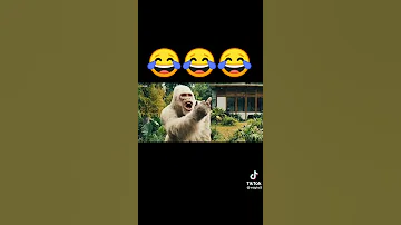 نطلك حمزة الخطيرة عامل حالو كرينديزر 