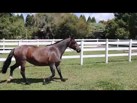 Lote 21 - Juanita do Parque