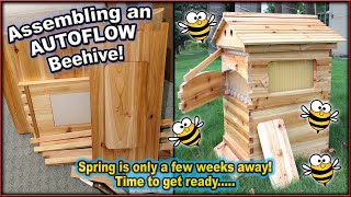 AUTOFLOW BEEHIVES! Constructing my firstever beehive for the farm  HONEY, here we come!