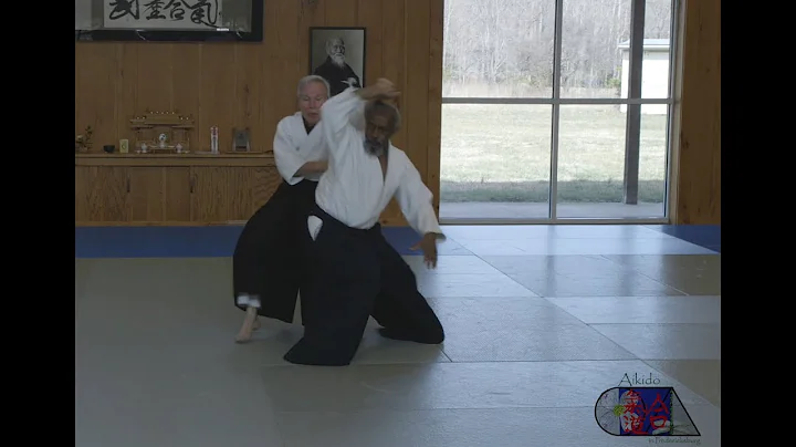 Aikido Senior Demos at Aikido in Fredericksburg