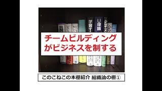 このこねこの本棚紹介『ビジネス書 組織論の棚①』