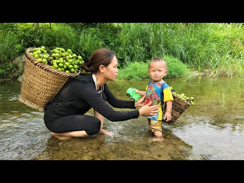 Harvesting natural fruits for sale - weeding the cassava garden - the daily life of a single mother