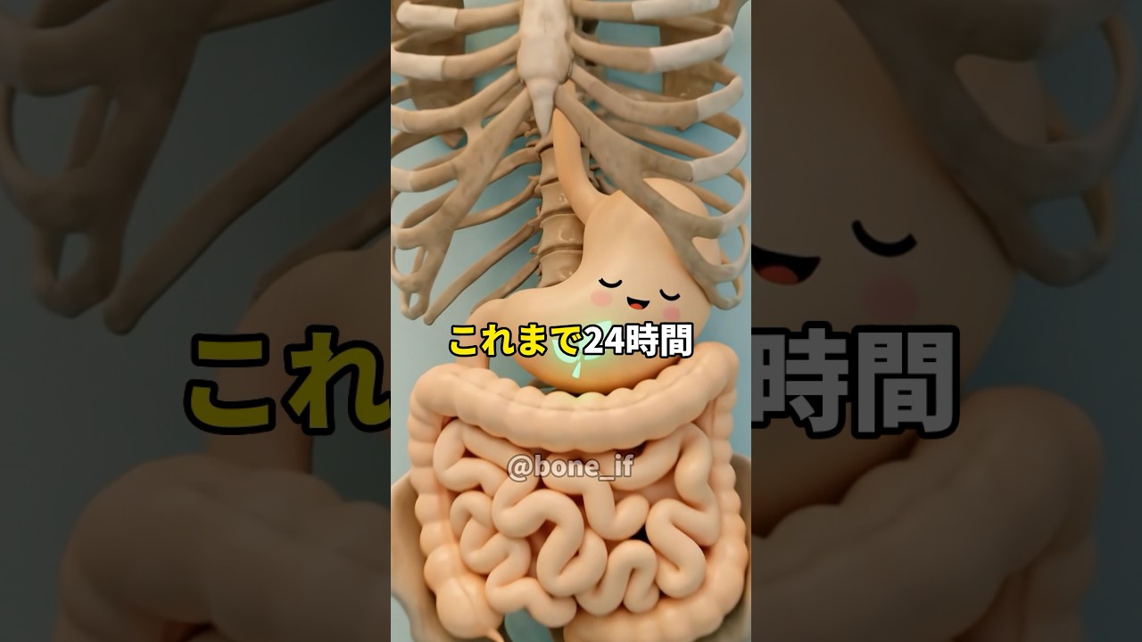 朝ご飯を抜く生活を続けるとどうなるのか？