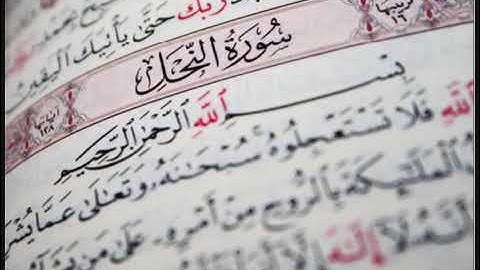 الشيخ محمد ايوب _ سورة النحل