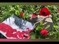 مولد الأقمار متباركين💐 حب و عطاء للمنشدين قاسم حمادي و محمد محيدلي