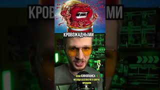 Самые идиотские фильмы в мире, кино факты