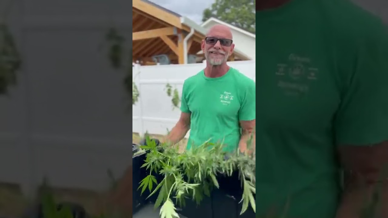 GreenGro Flower Shower