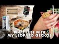 Everything I Use With My Leopard Gecko | Heating, Lighting, Substrate, Tank, etc