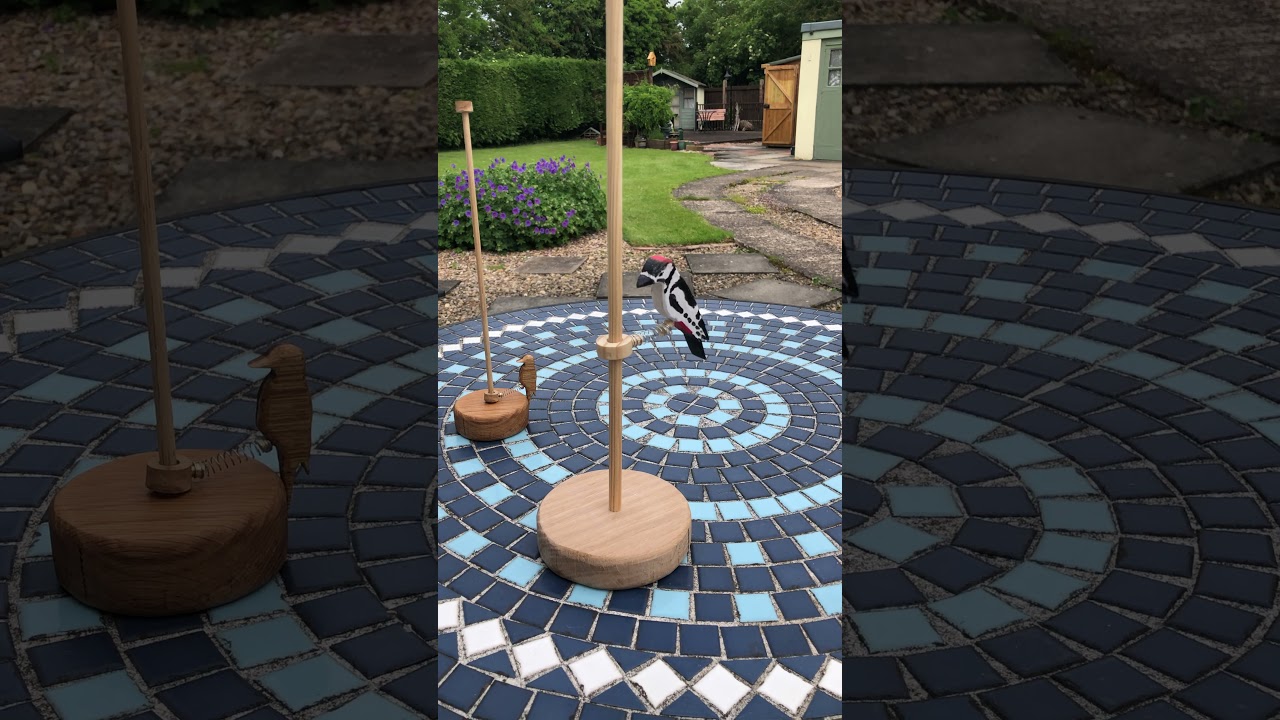 Woodpecker on a pole update: