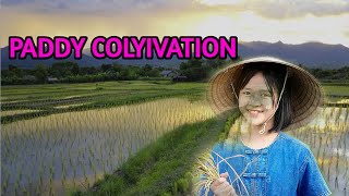 PADDY CULTIVATION IN NEPAL | NEPAL, COUNTRY ROADS, AGRICULTURE.....