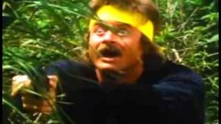 Revenge of the Cornish Ninja
