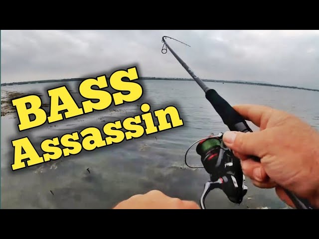 Surface Lure Fishing For Bass - Bass Assassin 