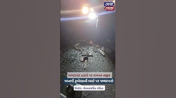 રાજકોટ: અમદાવાદ હાઇવે પર રામવન નજીક ખાનગી ટ્રાવેલ્સની બસો પર પથ્થરમારો