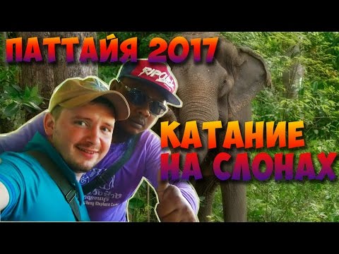 Тайланд / Паттайя / Экскурсия на реку Квай / Катание на слонах