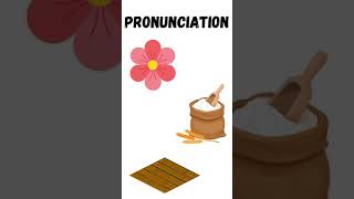 How To Pronounce Flower Flour and Floor | Correct Pronunciation of English Words | #shorts