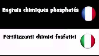 TRADUCTION EN 20 LANGUES = Engrais chimiques phosphatés