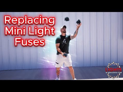 Small Fuses For Christmas Lights