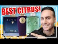 TOP 10 BEST CITRUS FRAGRANCES FOR THE SPRING AND SUMMER + GIVEAWAY! (NICHE) | BEST CITRUS PERFUMES!