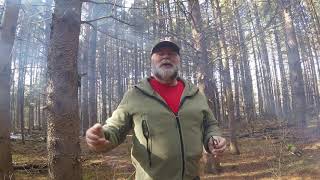 2 Mrk460 Explaining Option1 Option2