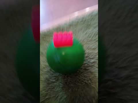 это видео для людей 65+