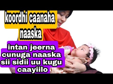 Caanaha naaska miyaay ku yaryihiin cunuga caano badan uyeel naaska si uu cunuga uga dhargo