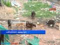 Raid illegal slaughter Thiruvananthapuram city;