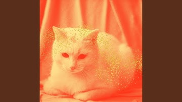Pulsating Music for Lazy Cat Days
