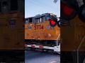 Union Pacific #5774 Leading Mixed Manifest Train