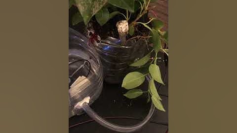 "UCR EE/CS 120B Spring 2019 -- Andre Band-- automated Irrigation system