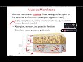 BIOL 214 Membranes (Ch 5 Part 5)