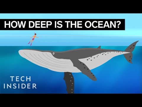 This Incredible Animation Shows How Deep The Ocean Really Is - YouTube
