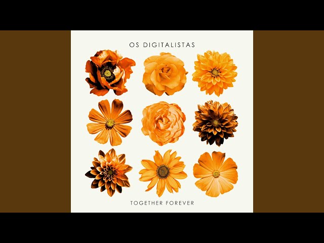 Os Digitalistas - Together Forever