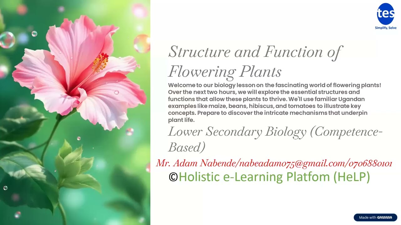 S.2 BIOLOGY LESSON ONE :Structure and Function of Flowering Plants
