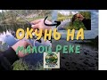 РЫБАЛКА МУРМАНСК, окунь не дал скучать. ЧАСТЬ 1.