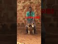 Bodaboda Vuuuuuuuu Ebyoyocomedyuganda Boda Bodas Bodaboda Omulangiratebacomedyuganda Bodaboda Vuuuuuuuu Ebyoyocomedyuganda Boda Bodas Bodaboda Omulangiratebacomedyuganda