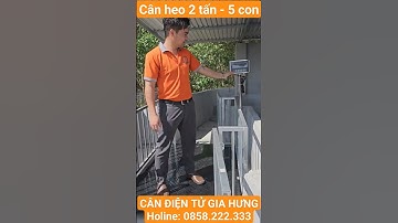 lắp đặt cân điện tử 2 tấn - cân heo - 1 lần 5 con - Cân Điện Tử Gia Hưng