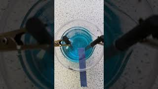 Electrolysis Short #chemistry #scienceteacher #gcsescience #education #secondaryscience #experiment