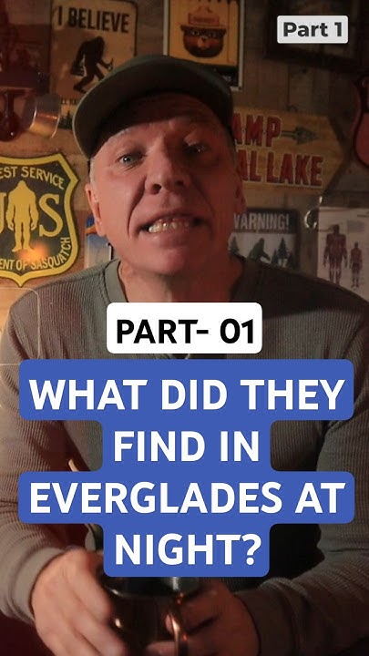 Midnight Road Trip To The Everglades Adventure Gone Wrong YouTube midnight-road-trip-adventure-youtube