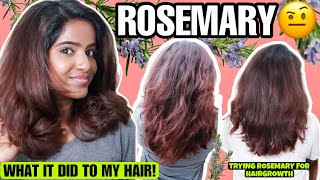 Does Rosemary Really Work?I tried Rosemary Hair Oil, Shampoo & Conditioner🤫