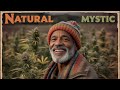 🌅 Spiritual Roots Reggae Vibes ✨ Jah Blessing & Positive Energy for Peaceful Soul