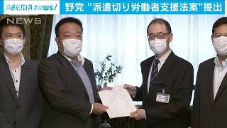 収入減った全労働者の支援法案を野党が提出(20/06/05)