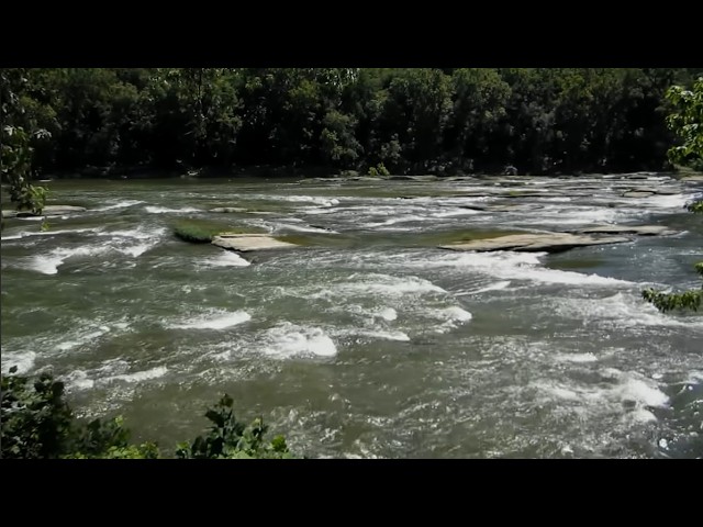 Watch Ron Brunk - River (Official Music Video) #peacefulmusic #inspiring #harmonywithnature on YouTube Watch Ron Brunk - River (Official Music Video) #peacefulmusic #inspiring #harmonywithnature on YouTube