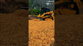 Honey bee Apiary install