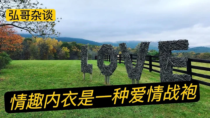 關於情趣內衣的科學理解：如果時長不夠，就用情趣來湊，如果審美疲勞，就換上愛情戰袍。聊聊這個價值百億美元的大生意，和人類繁衍的剛需產品。 - 天天要聞