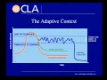 Adaptive vs technical  dr ronald heifetz