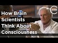 Arnold b scheibel  how brain scientists think about consciousness