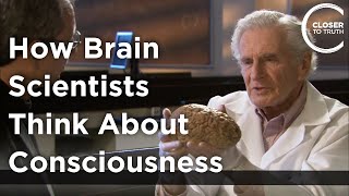 Arnold B. Scheibel  How Brain Scientists Think About Consciousness