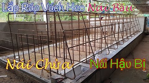 Lắp Ráp Vách Hậu Bị,Chuồng Heo Nái Bầu | Hồ Tài 9x